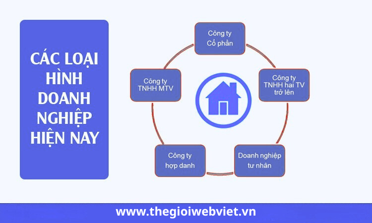 So Sánh Các Loại Hình Công Ty Theo Luật Doanh Nghiệp & Gợi Ý Lựa Chọn Tối Ưu Cho Startup Việt